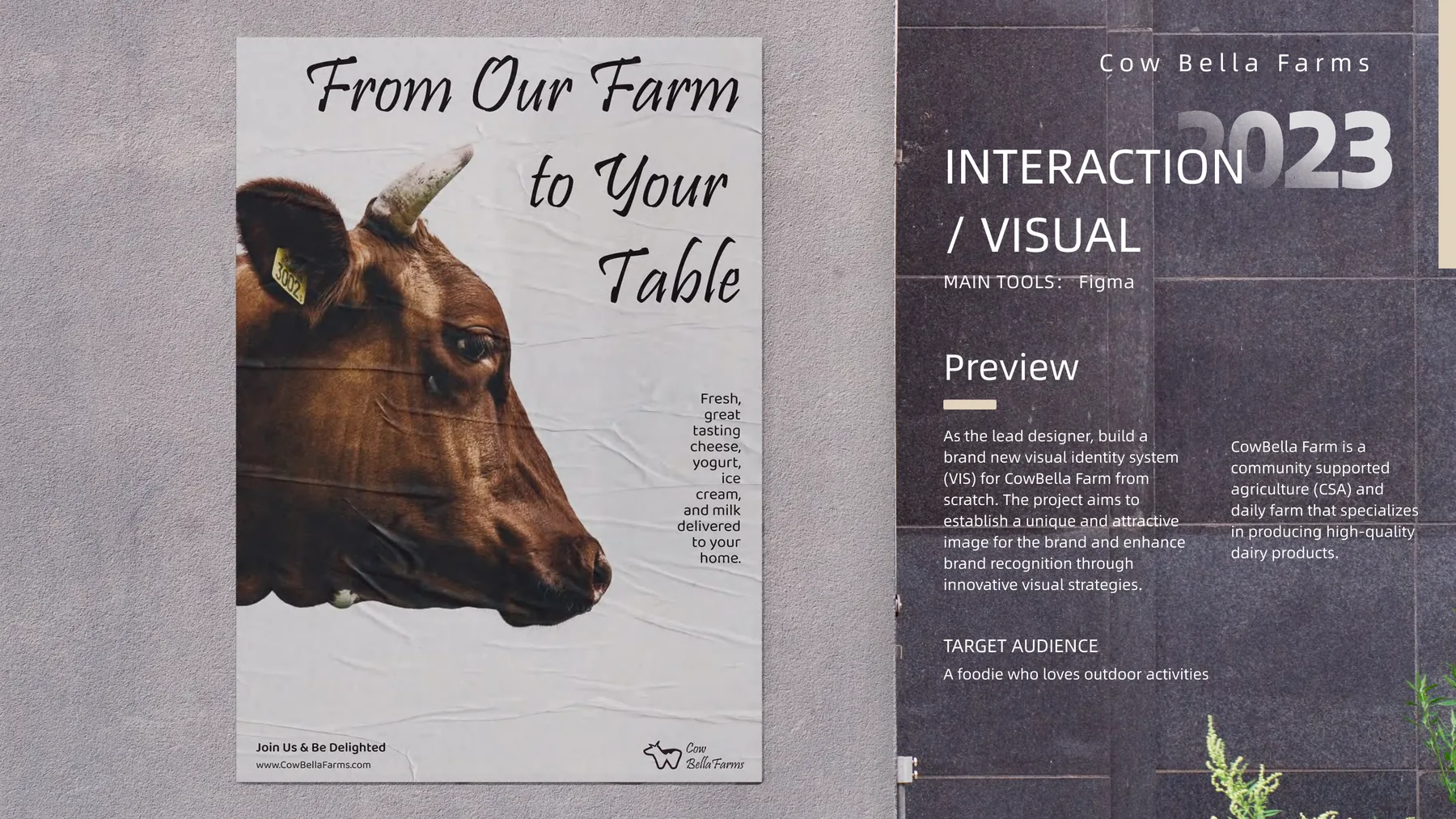 CowBella Farms poster and visual identity presentation
